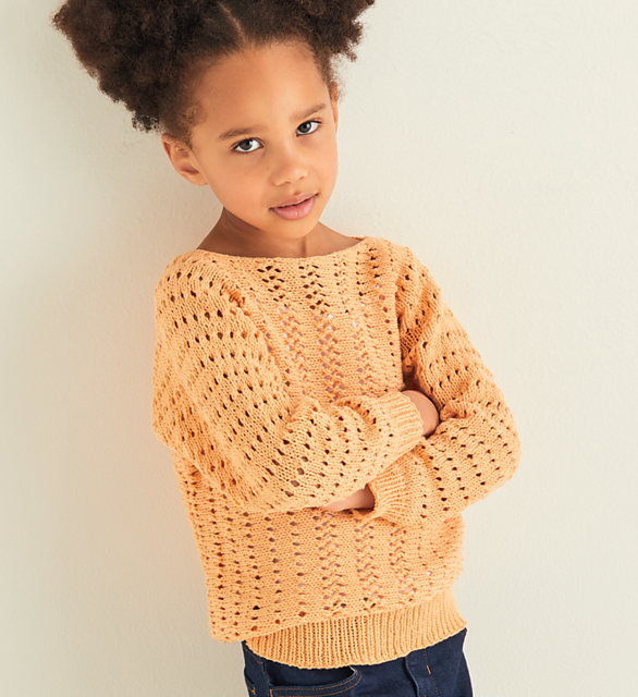 Replay Lace Mesh Jumper 2548