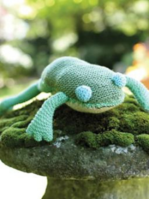 Hoppie Frog