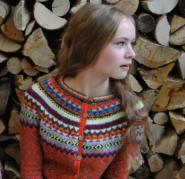 SOFIE D'HOORE knit Cardigan バイカラーカーディガン SOFIE D'HOORE knit Cardigan バイカラーカーディガン SOFIE D'HOORE