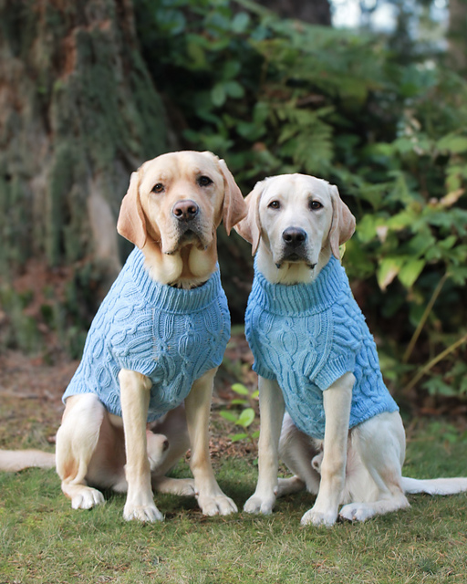 Casper Sweater