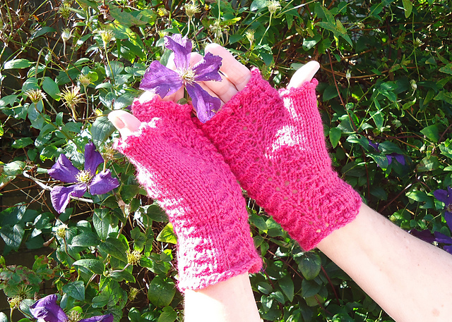 Raspberry Ripple Fingerless gloves