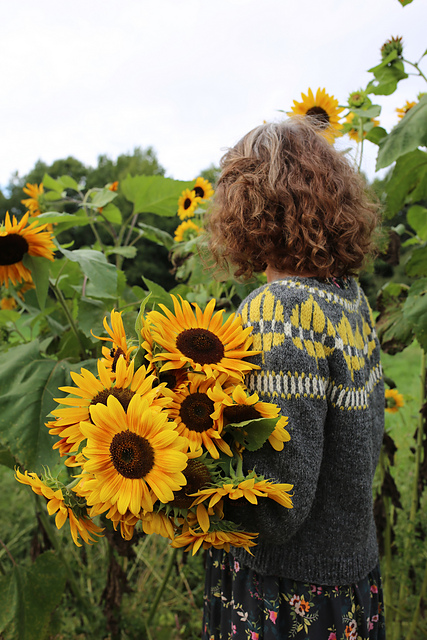 Pando Sweater