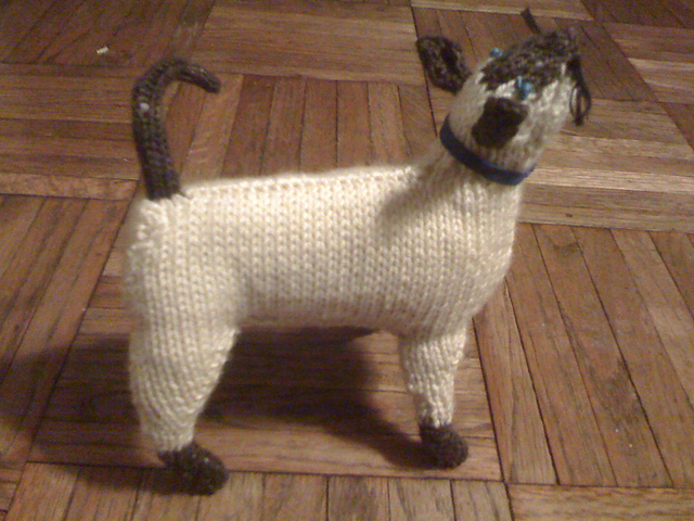 Siamese Cat