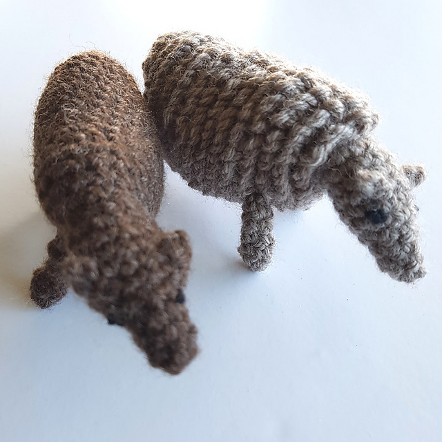 Ewenice and Woolimina Sheep