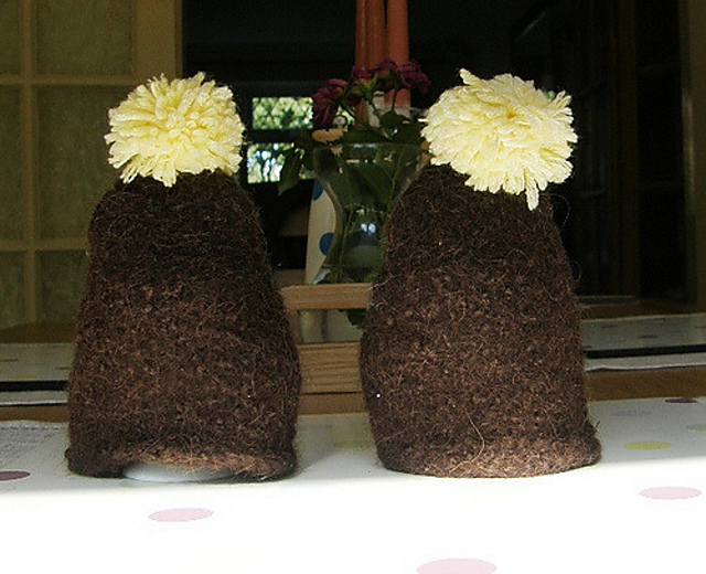 Felted Cosy