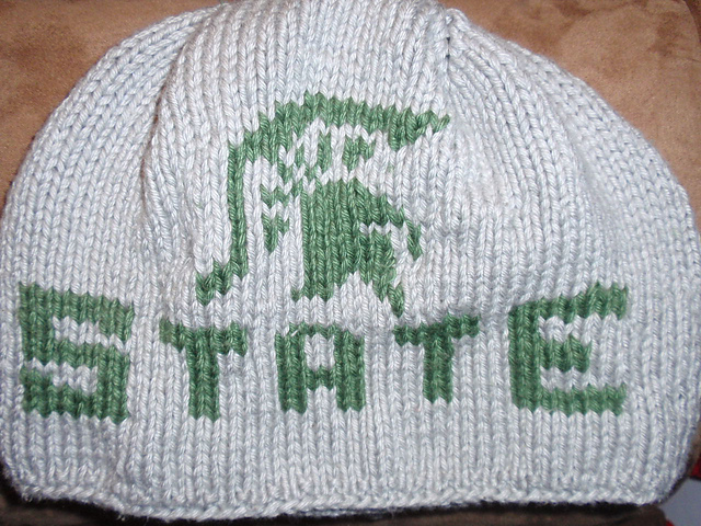 MICHIGAN SPORTS HATS