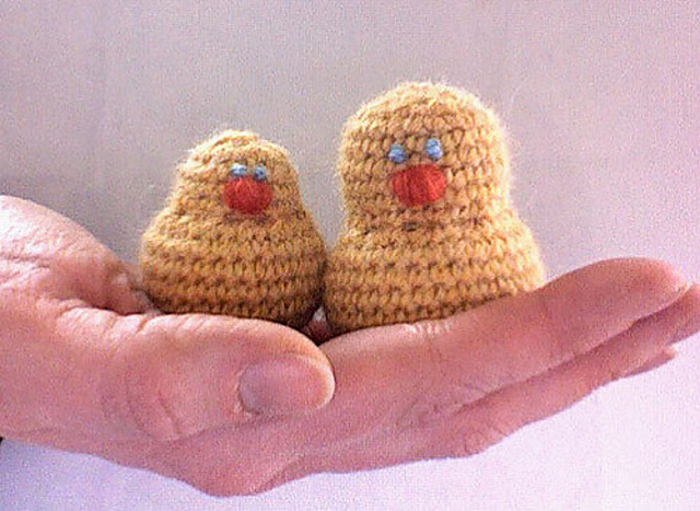 Cute Chicks