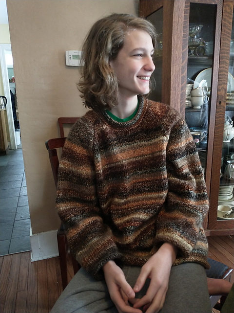 Casual Chunky Turtle-Neck Sweater