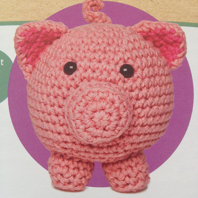Project 8: Pig