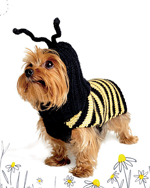#25 Mans Bee Friend