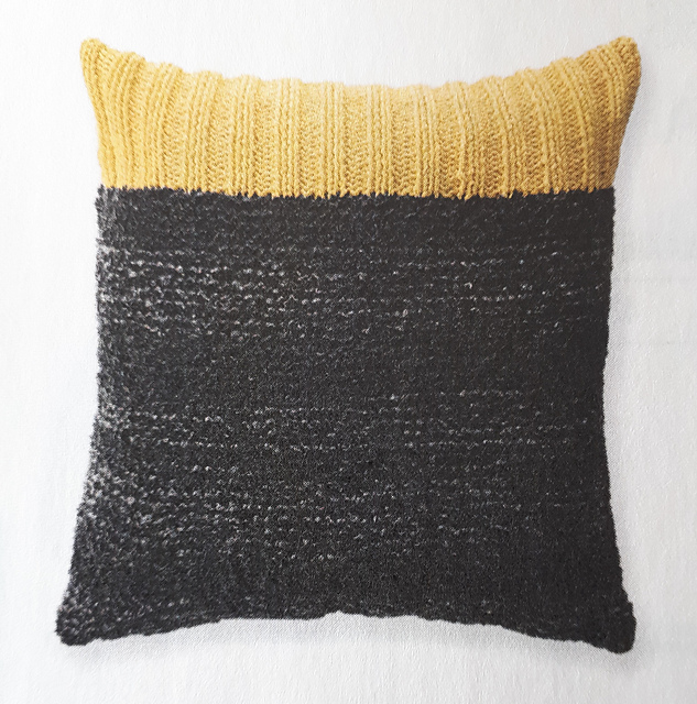 238 Coussin bicolore