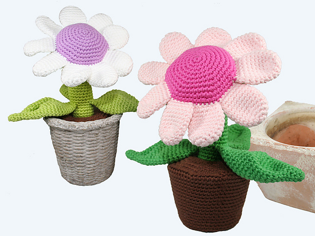 Potted Plant - Flower