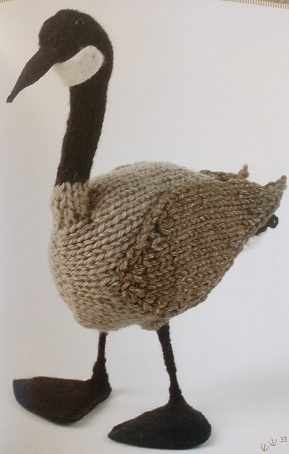 Canada Goose