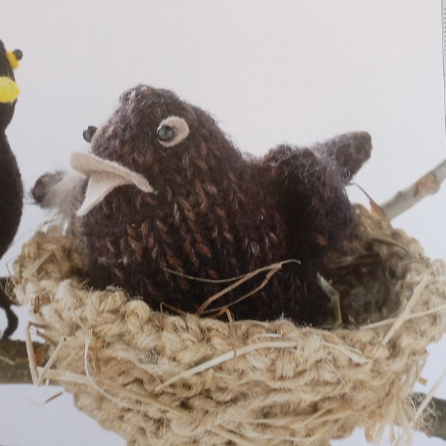 Fledgling Blackbird