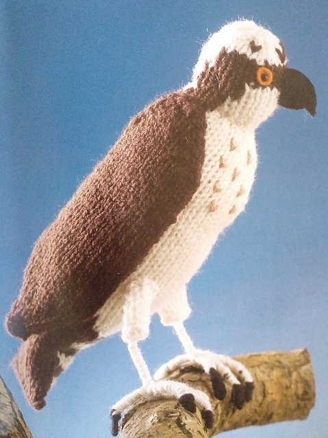 Osprey
