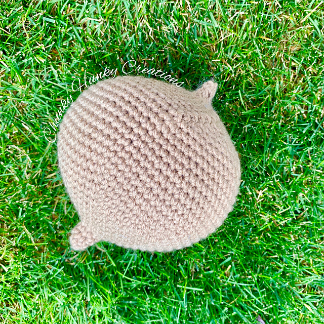 Home Stretch Jicama
