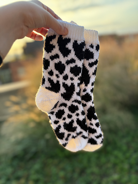Cow-zy Socks