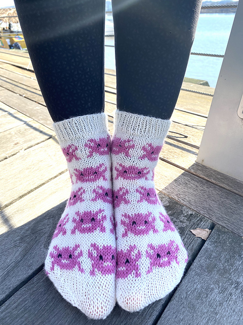 Axolotl Socks