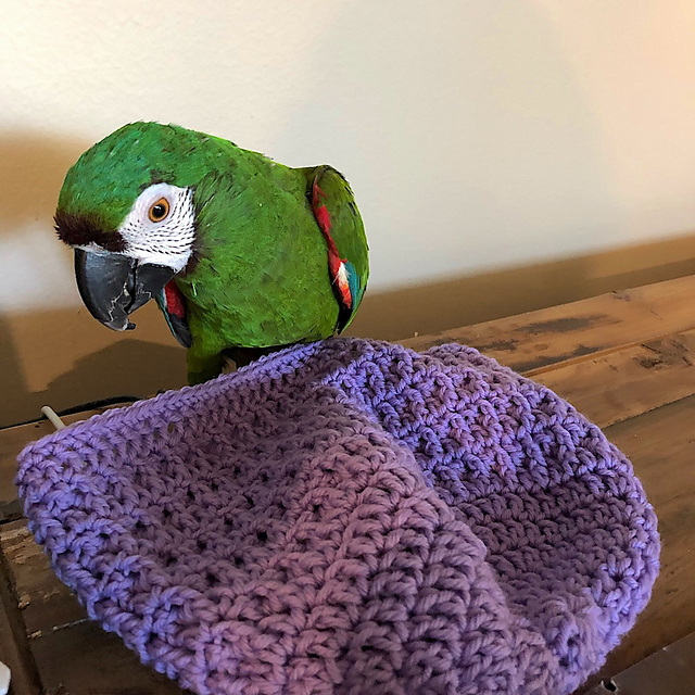 Bert(a)'s Charity Hat