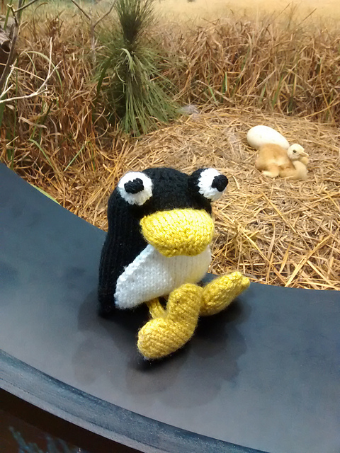 Paul the Penguin