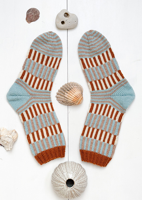 Muschelsucher