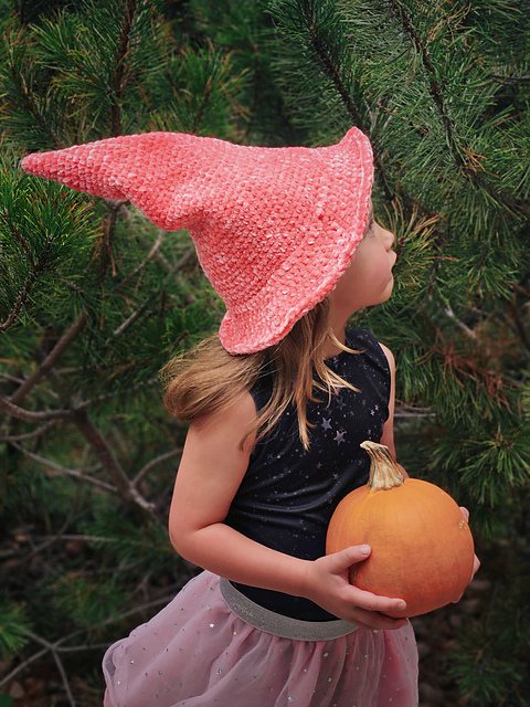 Velvet Witch Hat
