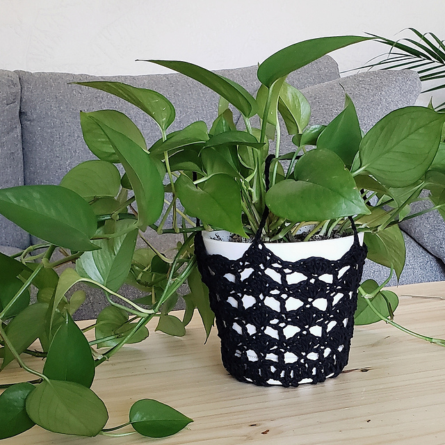 August Plant Hanger