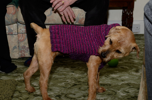 Essential Puppy Pullover