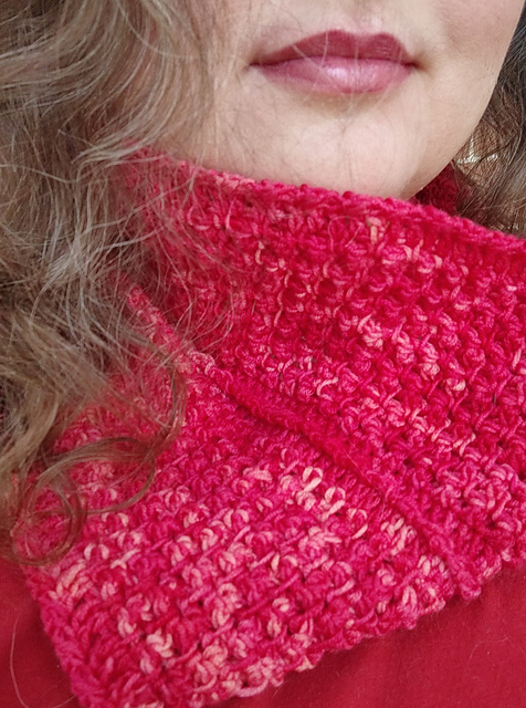 Woven Mesh Crocheted Cowl