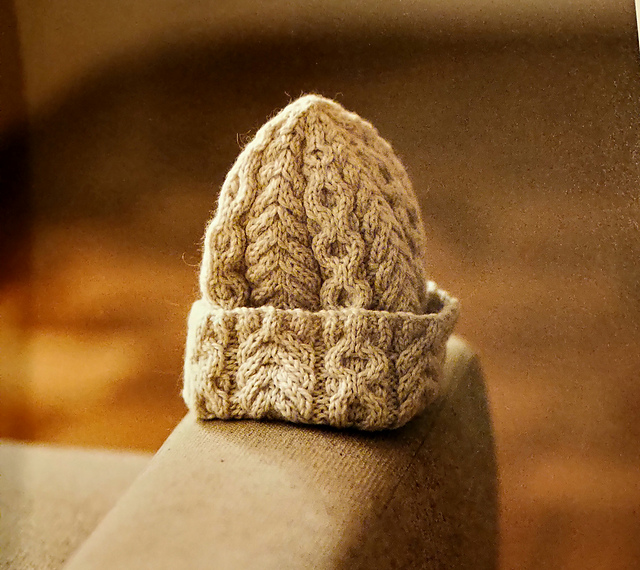 F. Aran Beanie