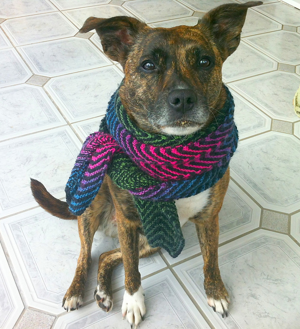 Stash Bustin' Noro Scarf
