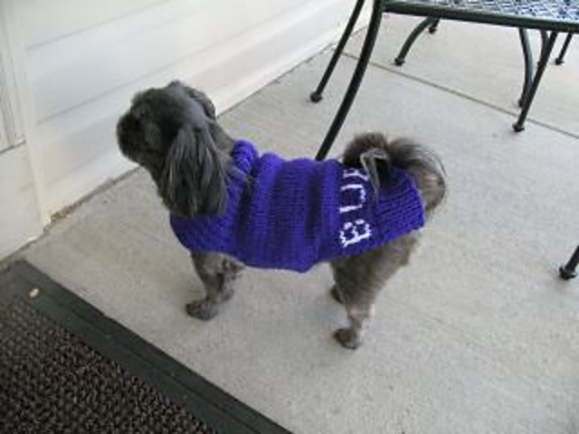 Another Dog Sweater