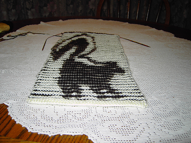 Skunk Illusion Scarf