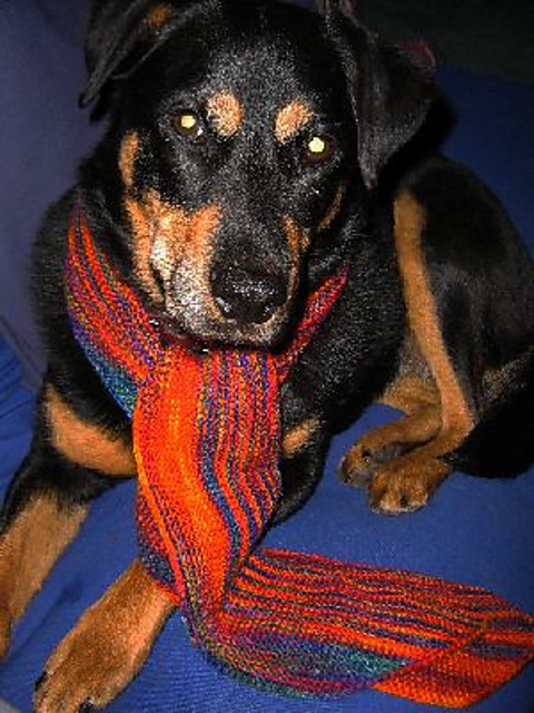 Miss Garter's Scarf