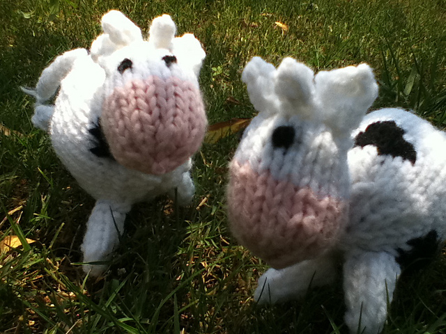 Cassy the Cow