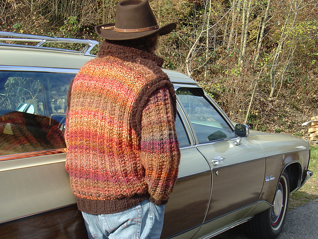 modell 14 - western cardigan