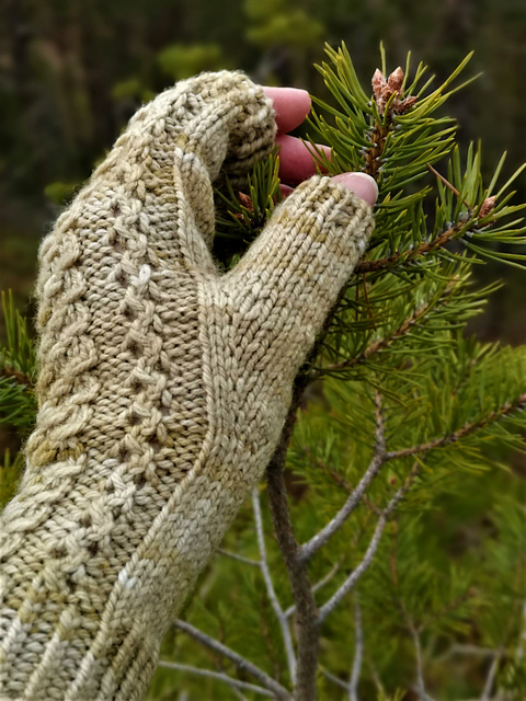 Strikkeulla pulsvarmere og votter