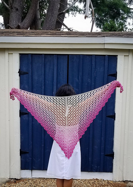 Raspberry Splash Shawl