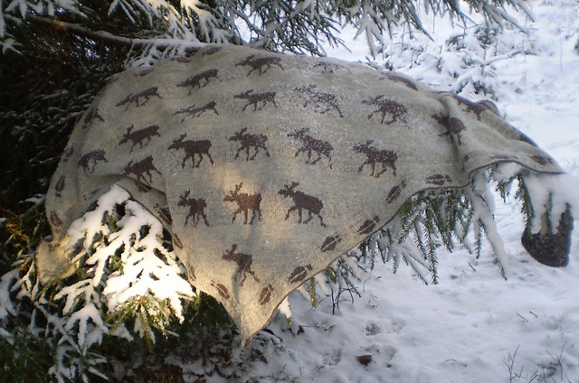 Shawl with moose