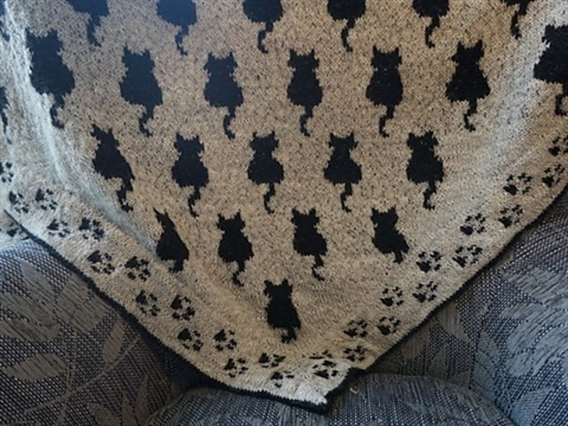Cat shawl Sudderudden