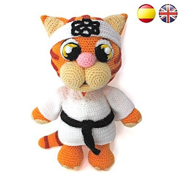 Aki the karateka cat