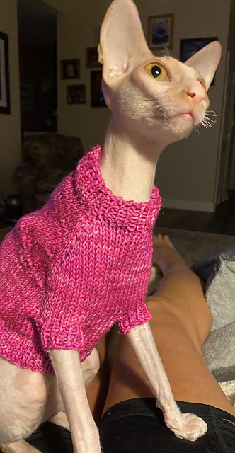 Cornish Rex Chilly Mitten Sweater