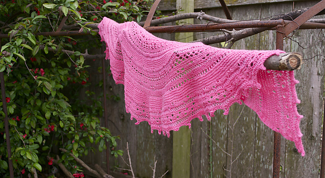 Jaleo Shawlette