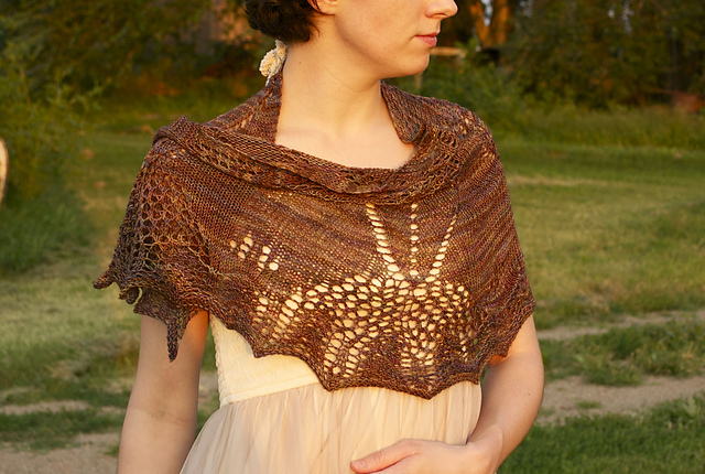 Cicada Shawl
