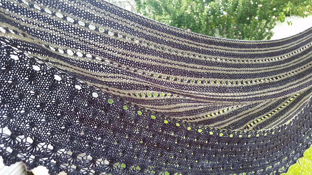 Lavender Dreams