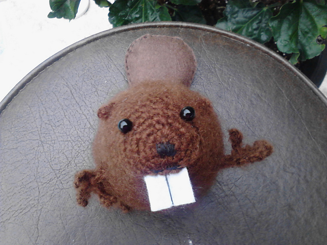 Beaver