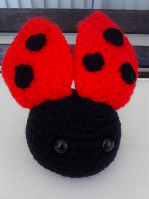 ladybug