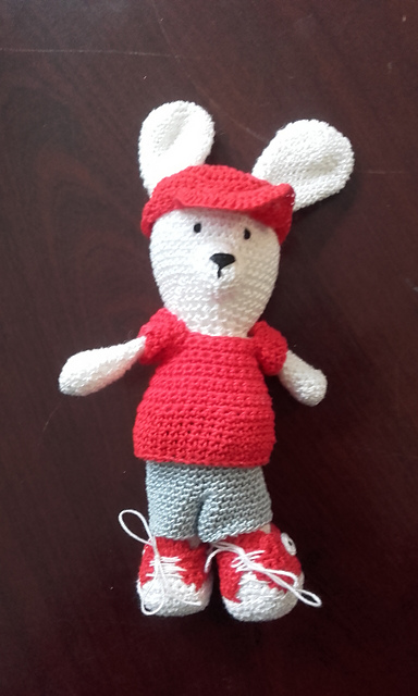 shorts and t-shirt for bunny
