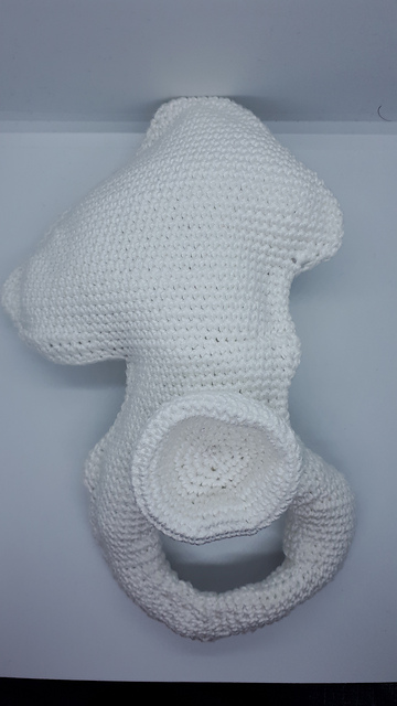 Innominate bone