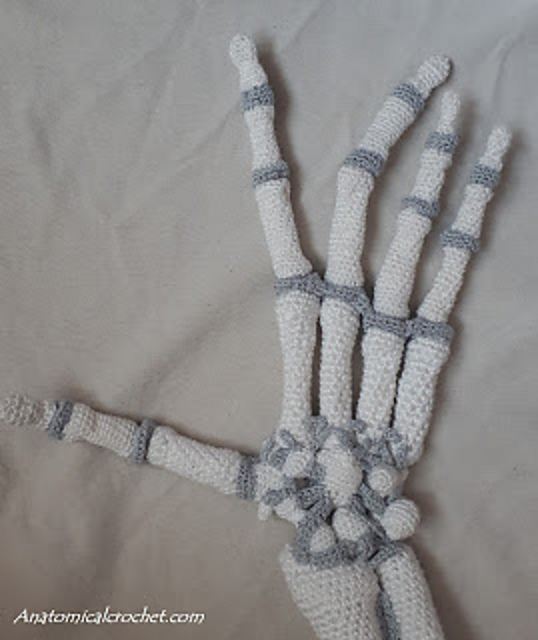 Life-sized hand skeleton